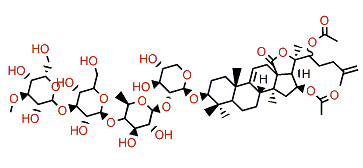 Cladoloside A6